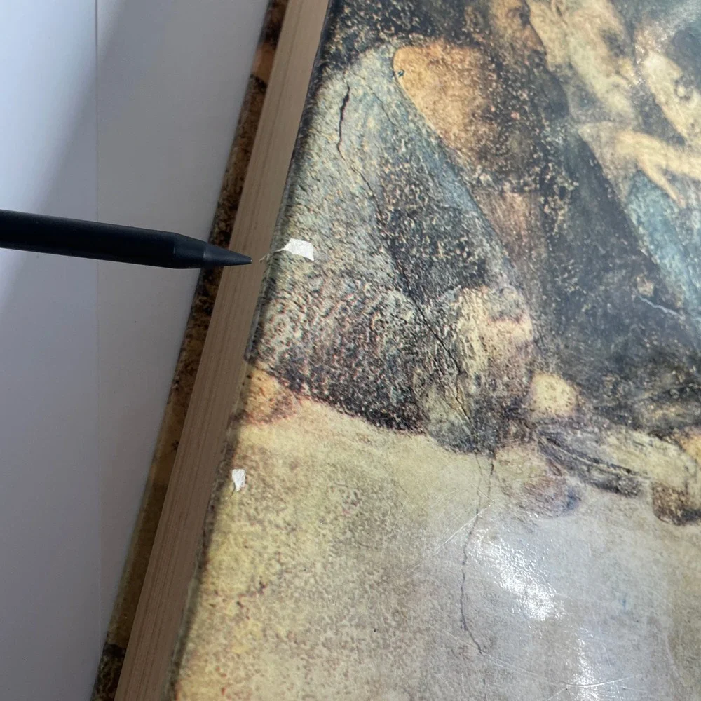 Leonardo Da Vinci Art Book 1956 Istituto Geografico De Agostini Printed in Italy